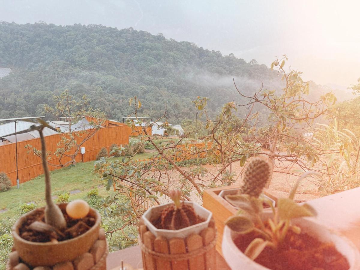 Phu Morinn Camping ม่อนแจ่ม Mon Jam Eksteriør bilde
